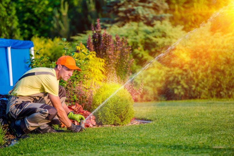 Increase Your Irrigation Leak Repair Business with an AI Driven, Targeted Website