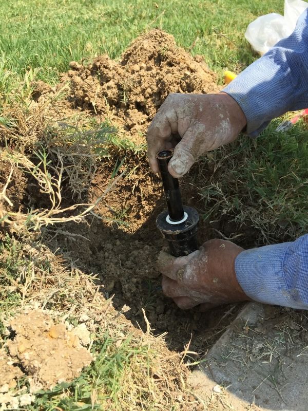 Sprinkler Head Repairs