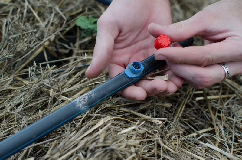 Common Pitfall to Avoid