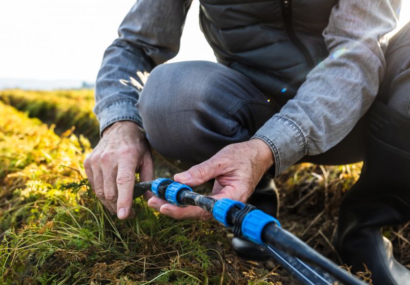 Consultation and System Design