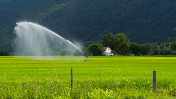 Field Irrigation Repair